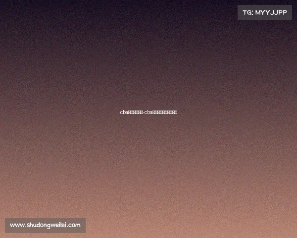 cba山东高速赛事-cba山东高速男篮最新消息